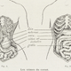 Image for article titled Apparently, Corsets Are Just Super Chill Rib Bras